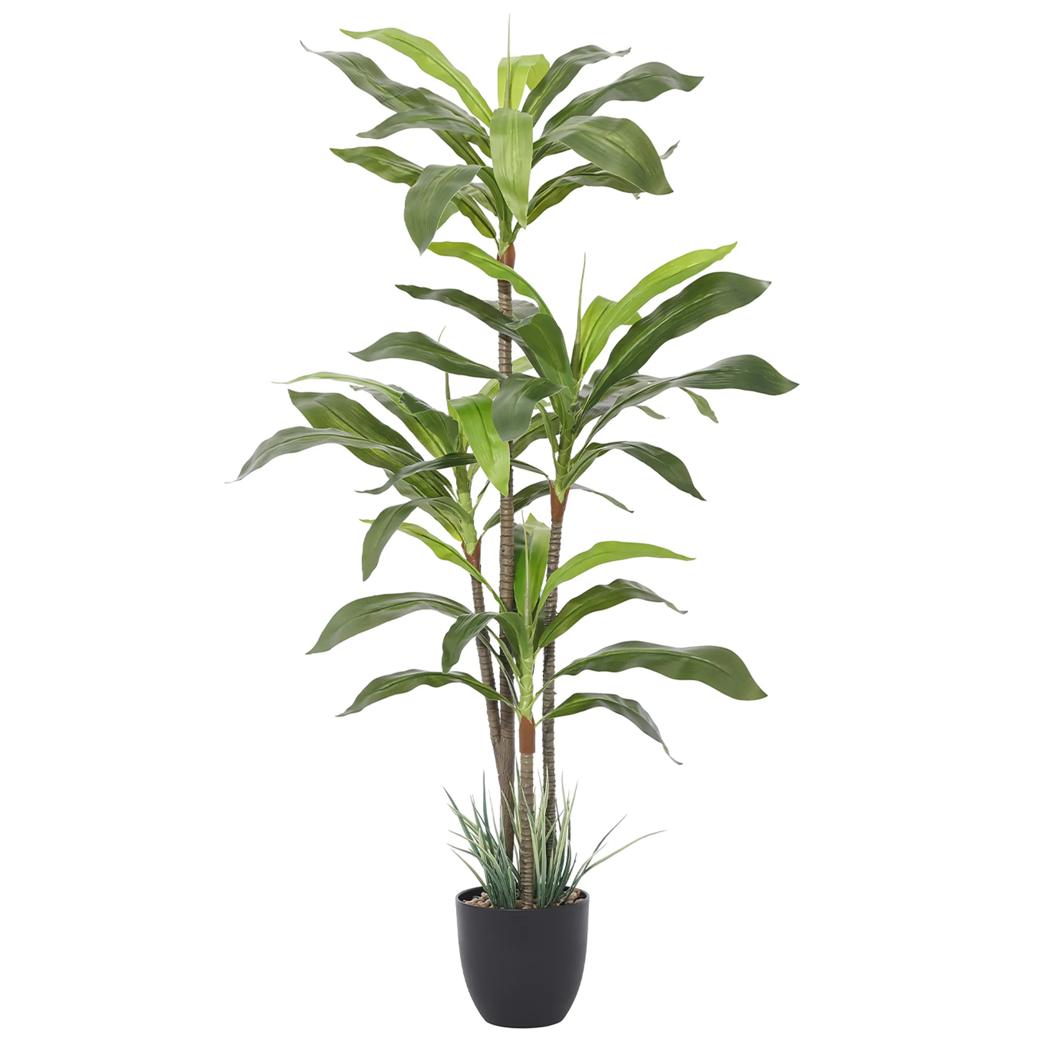 Artificial  Dracaena Tree 5 Feet