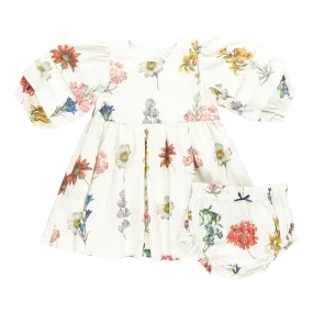 Baby Girl Brooke Dress Set - Notebook Botanical