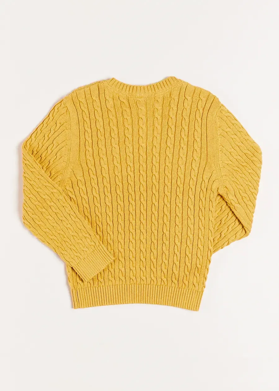 Cable Knit Crew Neck Jumper in Mustard (2-10yrs)