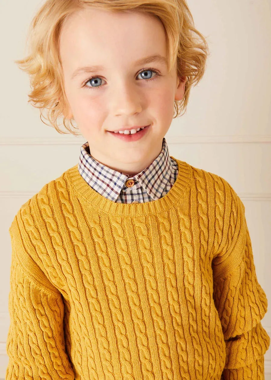 Cable Knit Crew Neck Jumper in Mustard (2-10yrs)