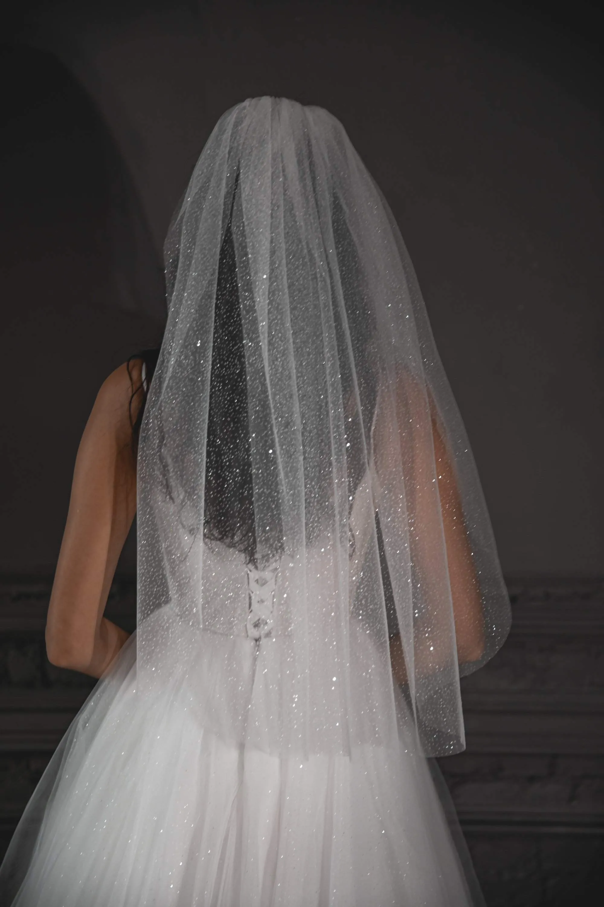 Sparkly Wedding Veil