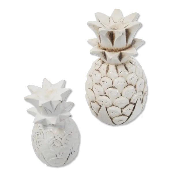 White Pineapple Fruit